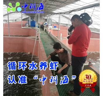 室內(nèi)循環(huán)水養(yǎng)蝦系統(tǒng)--沙漠邊上養(yǎng)海蝦