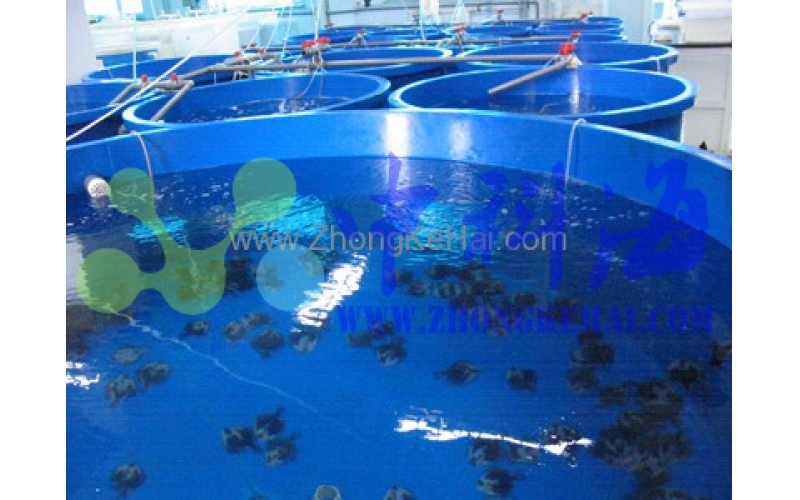 中國(guó)科學(xué)院海洋研究所-水族樓-魚(yú)類(lèi)實(shí)驗(yàn)室